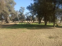 IMG_20190203_142508278