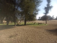 IMG_20190203_142510315