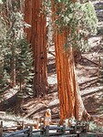 2022-09-01 13_01_25.908-0700
