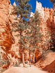 2022-09-09 15_03_29.113-0600