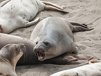 DSC02118