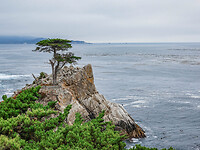 DSC02446