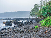 DSC03540