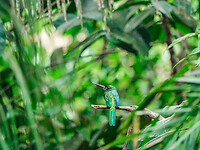 DSC05890