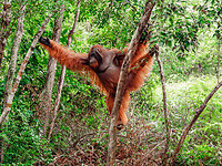 DSC02449