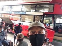 De zonnebloem bus