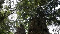 Angkor Wat