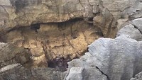 Pancake rotsen Punakaiki