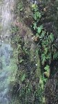 Waterval & Driftwood in Okarito