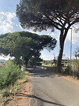 IMG_1485