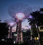 Gardens by the bay