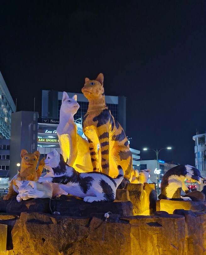 miauw