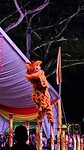 Dansende leeuw