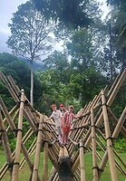 Bamboo brug