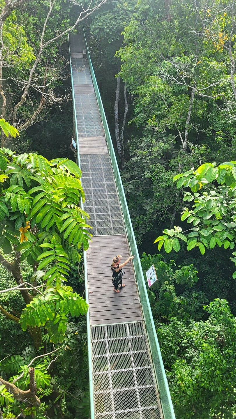 Hoog