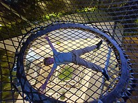 hoog