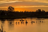 sunset on the river