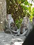 20180727_133403