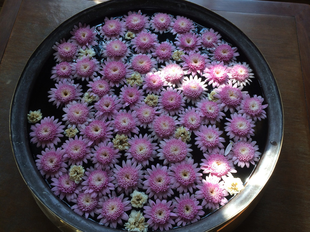 bloemen @garden of dreams