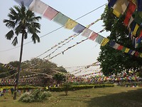 Tuin rondom Maya Devi
