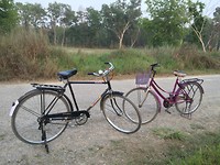 Onze fietsen: een echte jongens en een echte meisjes
