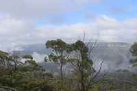 Blik op de Blue Mountains