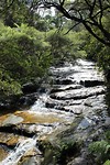 Leura Cascades