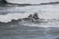 Een surfer aan Bells Beach