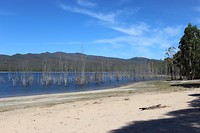 Lake Bellfield