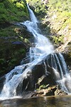 Flood Falls