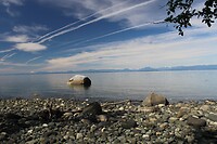 Seal Bay Nature Park