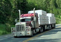 Local Truck