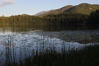 Dutch Lake