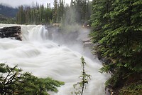 Athabasca Falls