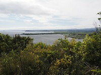 _NZ40751