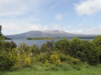_NZ40783