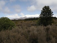 _NZ40807