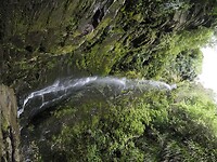 _NZ40912
