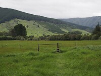 _NZ40925
