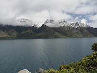 _NZ41909