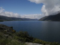 _NZ41911