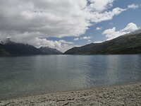 _NZ41916