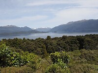 _NZ41925