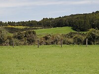 _NZ41933