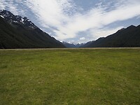 _NZ41934