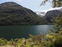 _NZ41940