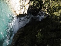 _NZ41955