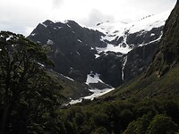 _NZ41960
