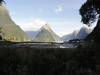 _NZ41963