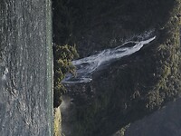 _NZ41969